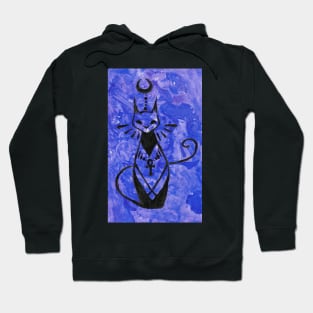 Seeing eye cat Hoodie